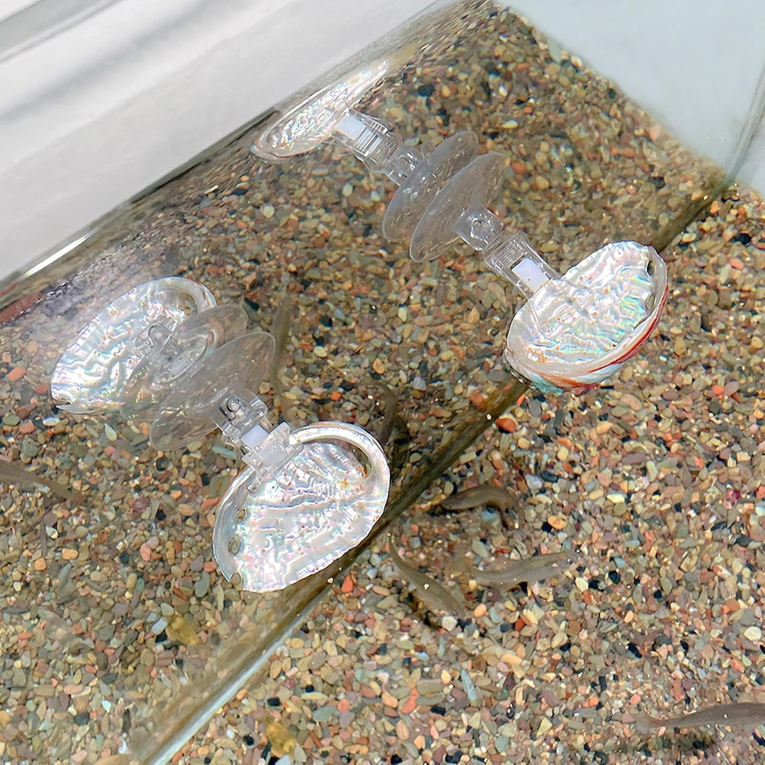 Glugahrif Betta Hammock, Betta Fish Hammock, Aquarium Suction Bed | Resting Hidden Place Betta Hammock for Enrichment Fish Tank from Hiding Place and Games for Pets