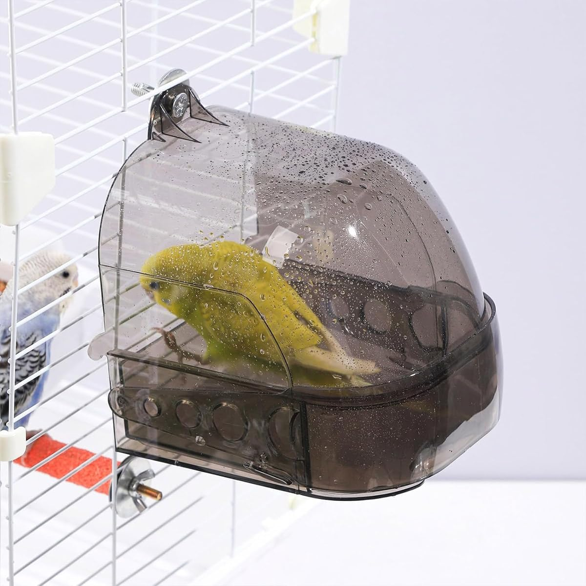 AIMALL Extra Large Transparent Parrot Bird Bath Box, Tiger Skin Xuan Feng Starling Bath Basin with Drawer, Clear Bird Cage Accessories - 13 X 15.5 X 15.5 Cm