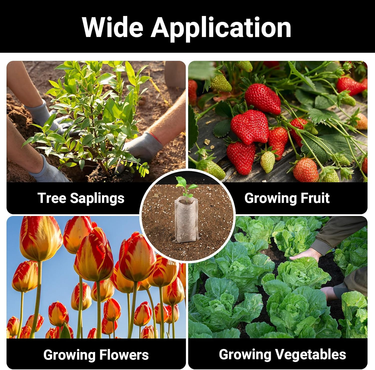 Seed Starter Bags Small, 200PCS 3X4 Inch Non-Woven Nursery Plant Grow Bags, Fabric Seedling Bags Pots Pouch for Plants Seeding Clones Home Garden Supply image number 6