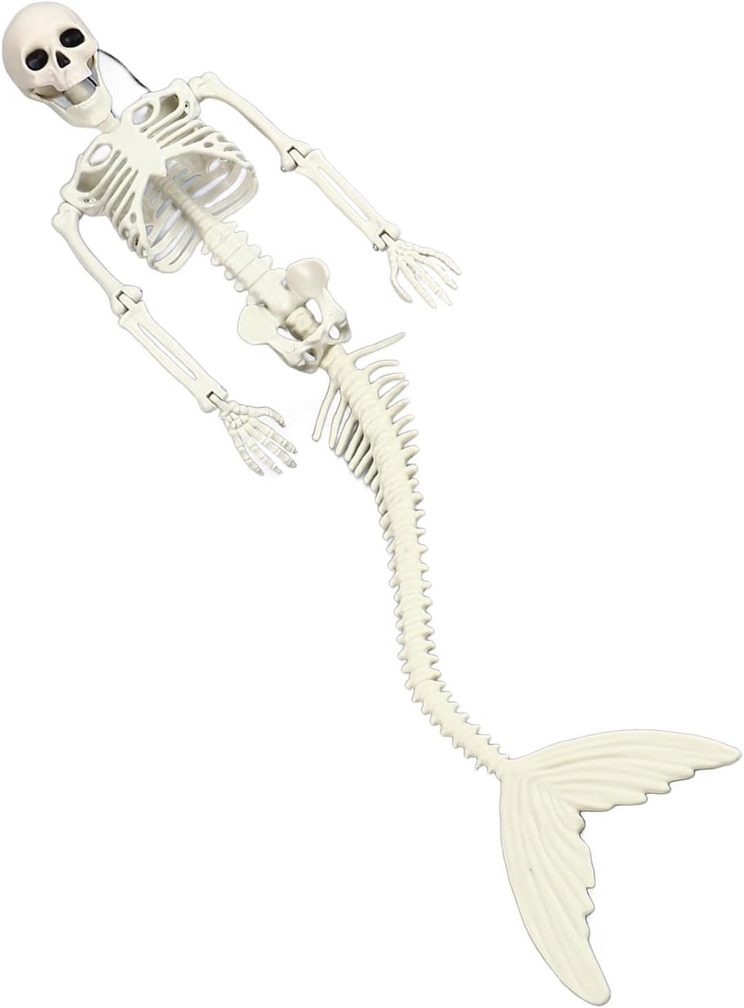 Skeleton, Life Size Skeleton Mermaid Halloween Outdoor Decorations Movable Posable Jointsfull Body Skeleton Mermaid Props,Halloween Skeleton Decorations Full Body Skeleton Mermaid image number 5