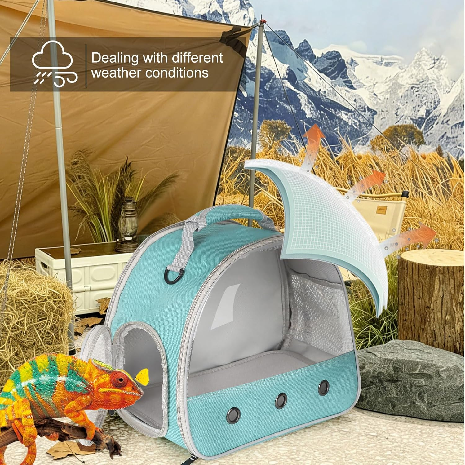 Bearded Dragon Travel Carrier for Lizards, Hedgehog, Rat, Parrot, Bird & Guinea Pig - Portable for 2 (Green)