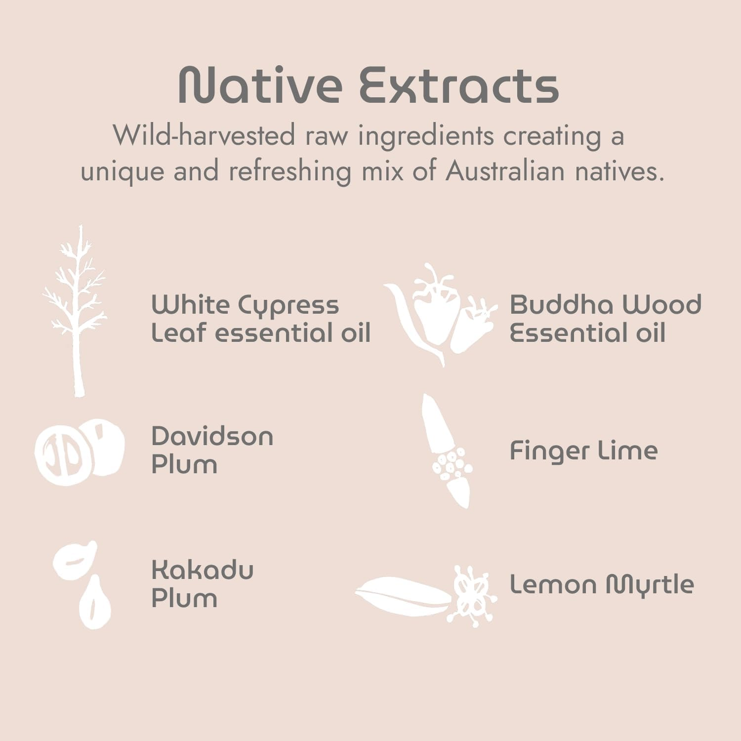 Body Lotion, Powerful Native Australian Botanicals, Wild Harvested Ingredients, Gentle Formula, Vegan, Paraben or Sulphate, Australian Made, 300Ml image number 3