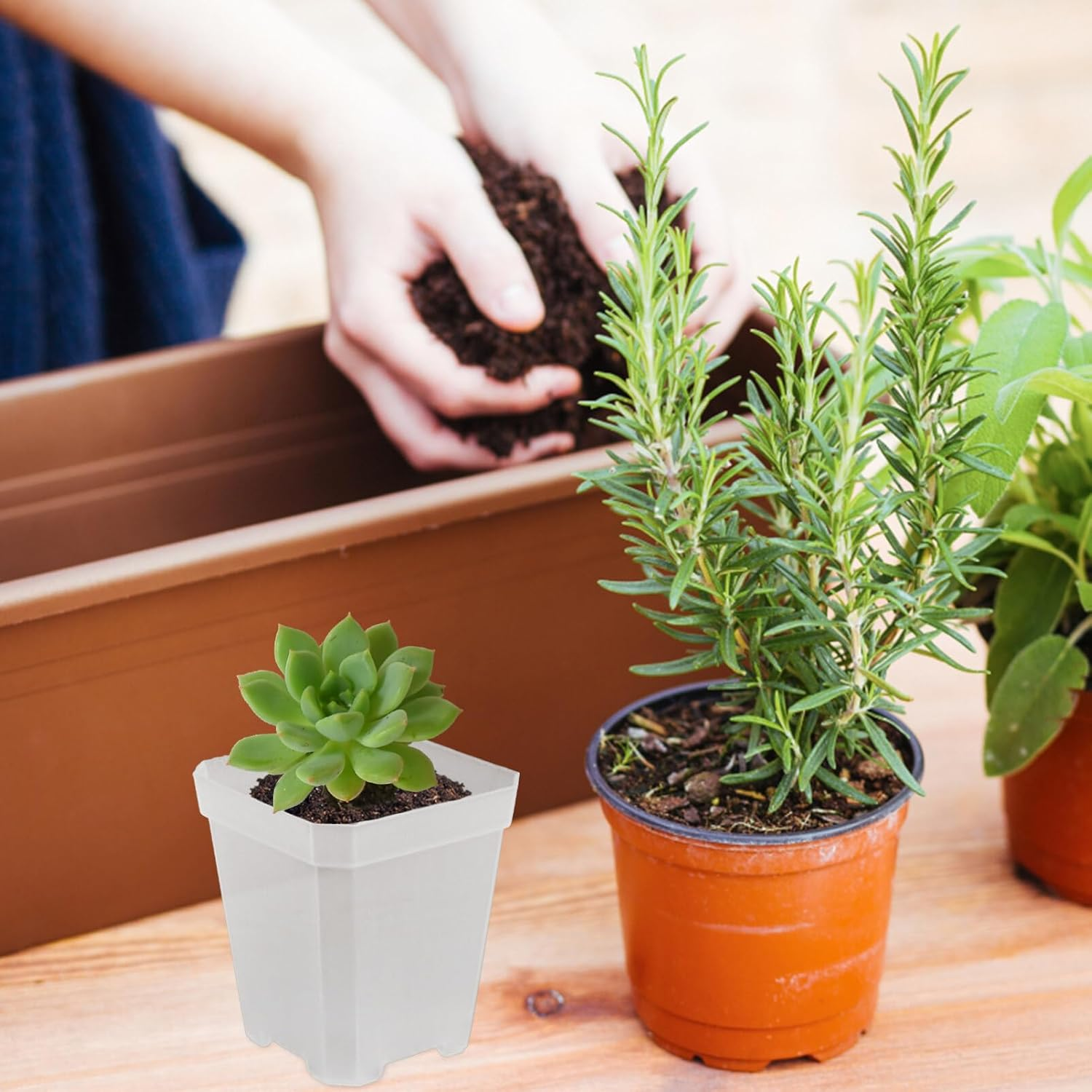 HANABASS 20Pcs Nursery Pots for and Plants Drainage for Optimal Growth and Lightweight for Indoor and Outdoor Gardening image number 1