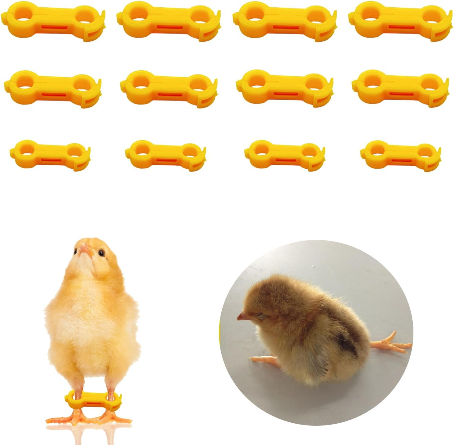 12Psc Baby Chick Splay Leg Hobble Brace, Baby Chick Leg Hobbles, Poultry Leg Bands, Chicken Hobble Braces for Newborn Spraddle Leg of Chick Quails Ducks Bird Parrot of 1 to 3 Days Newly Hatched image number 5