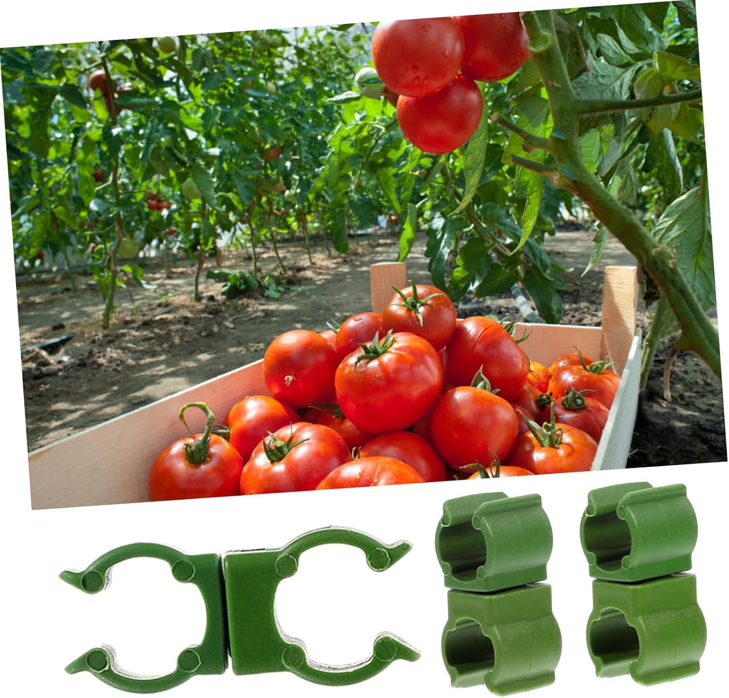 MERRYHAPY 10Pcs Plastic Plant Clip Shape for Gardening Clamps Grafting Plant Clip Garden Supplies Use in Plant Sticks Flower Clips Plant Hooks Garden Hanging image number 3