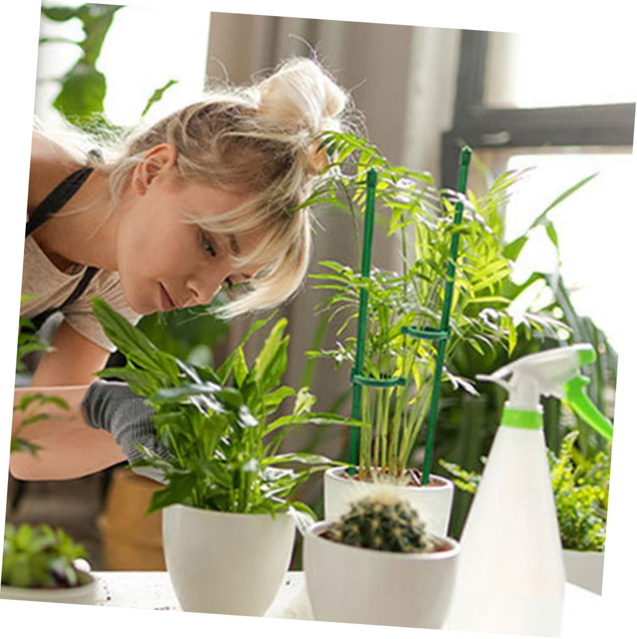 12Sets Garden Plant Support Stakes Single Stem Plant Support Stake Sturdy Stem Holder for Tomatoes Cucumbers Peppers