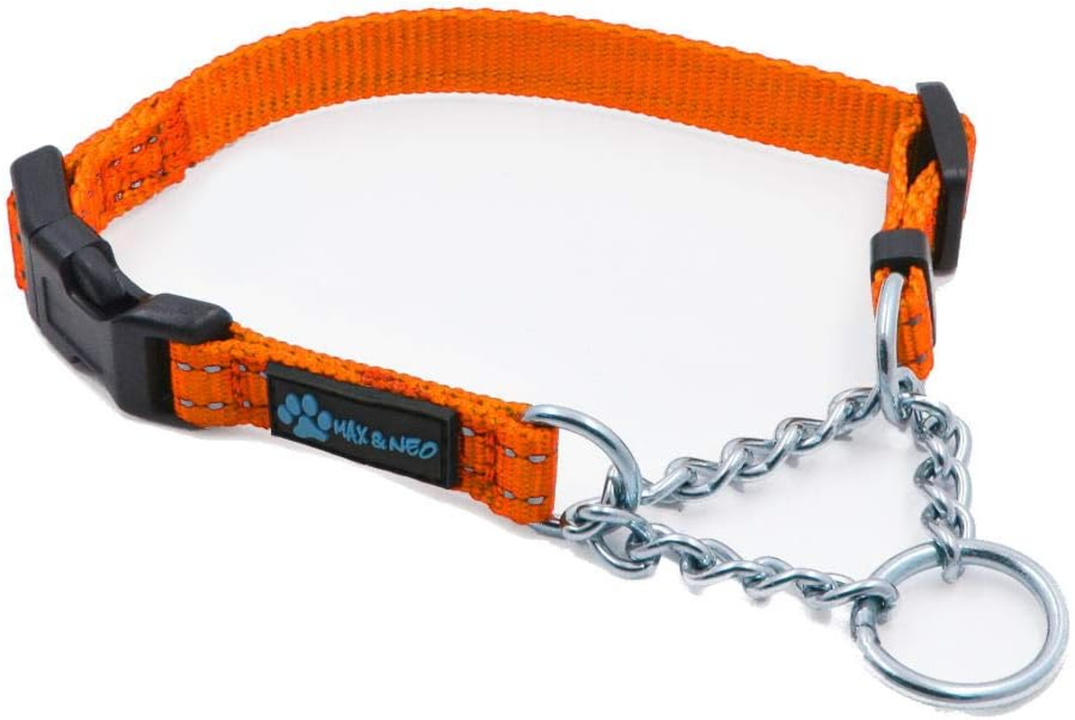 Max and Neo Stainless Steel Chain Martingale Collar - We Donate a Collar to a Dog Rescue for Every Collar Sold (Medium, Teal)