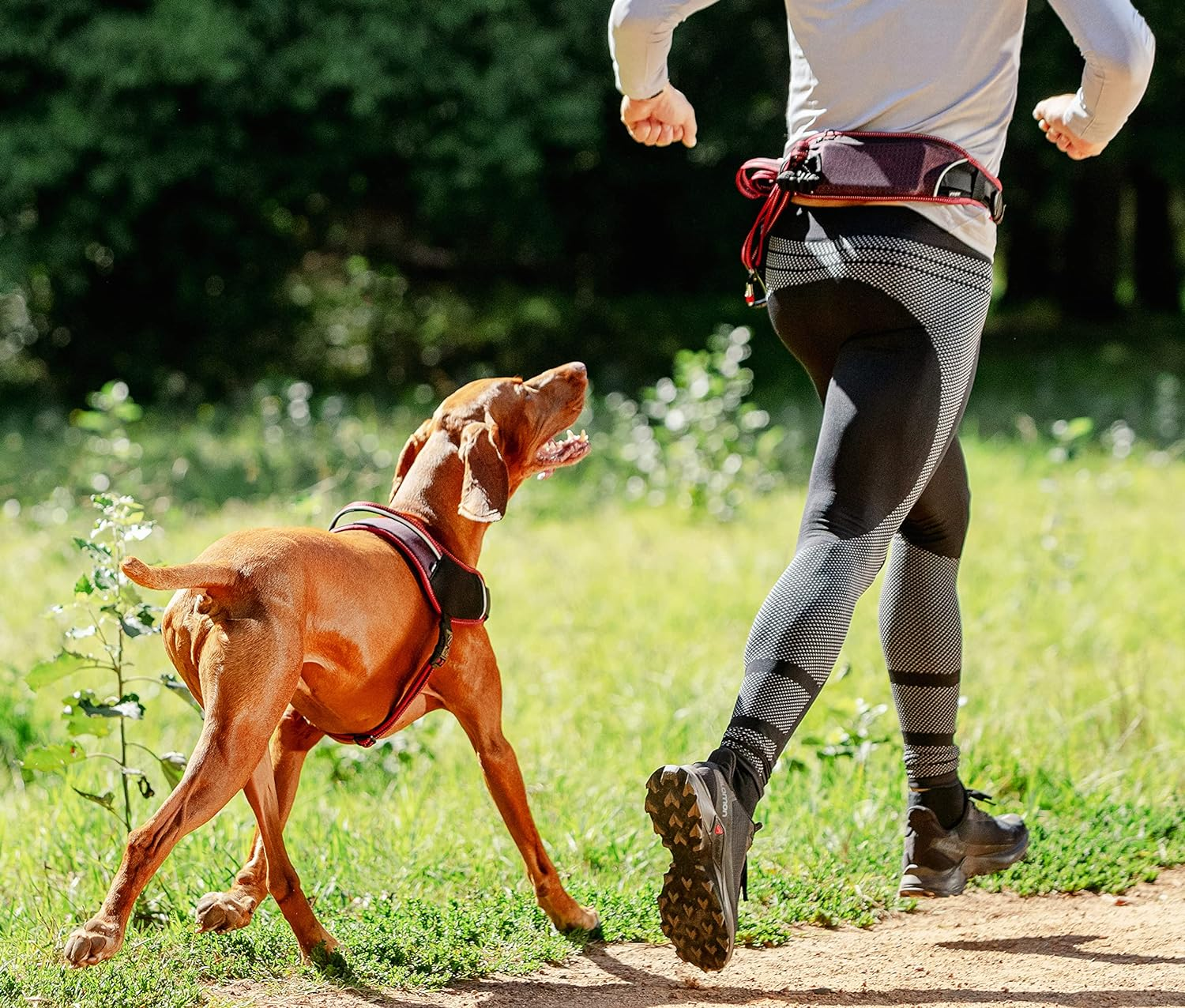 Rogz Airtech Sport Dog Harness, Sunset Pink, Medium image number 6