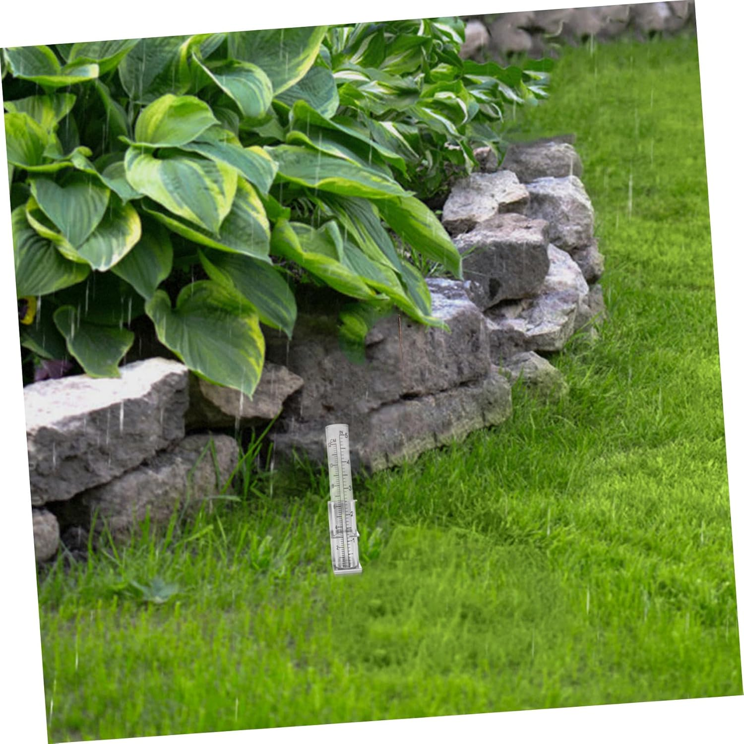 Bestonzon Accurate Outdoor Rain Gauge with Stainless Steel Mounting Bracket for Garden and Patio Precise Glass Rain Measuring Device with Easy Installation and Secure Support Digital Water image number 2