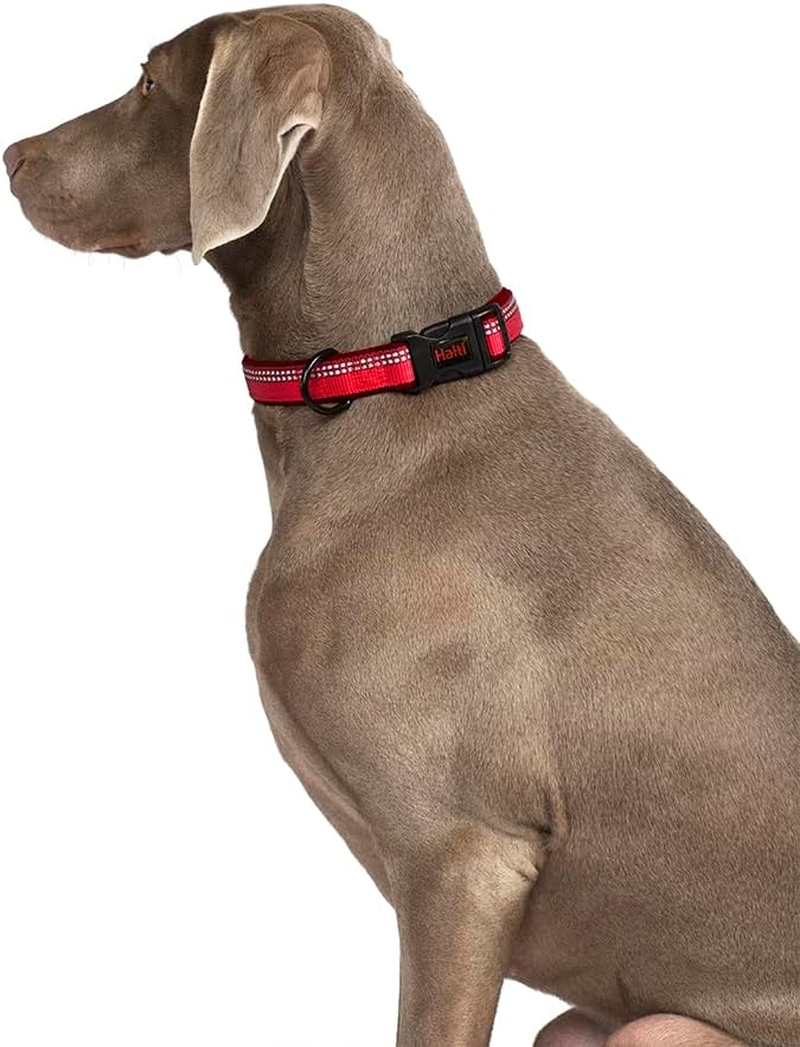 HALTI Comfort Collar - Nylon and Neoprene-Padded Comfy Dog Collar, Reflective, Easy to Fit & Use. Colourful Two-Tone Design, Suitable for Small Dogs and Puppies (Size XS, Black)