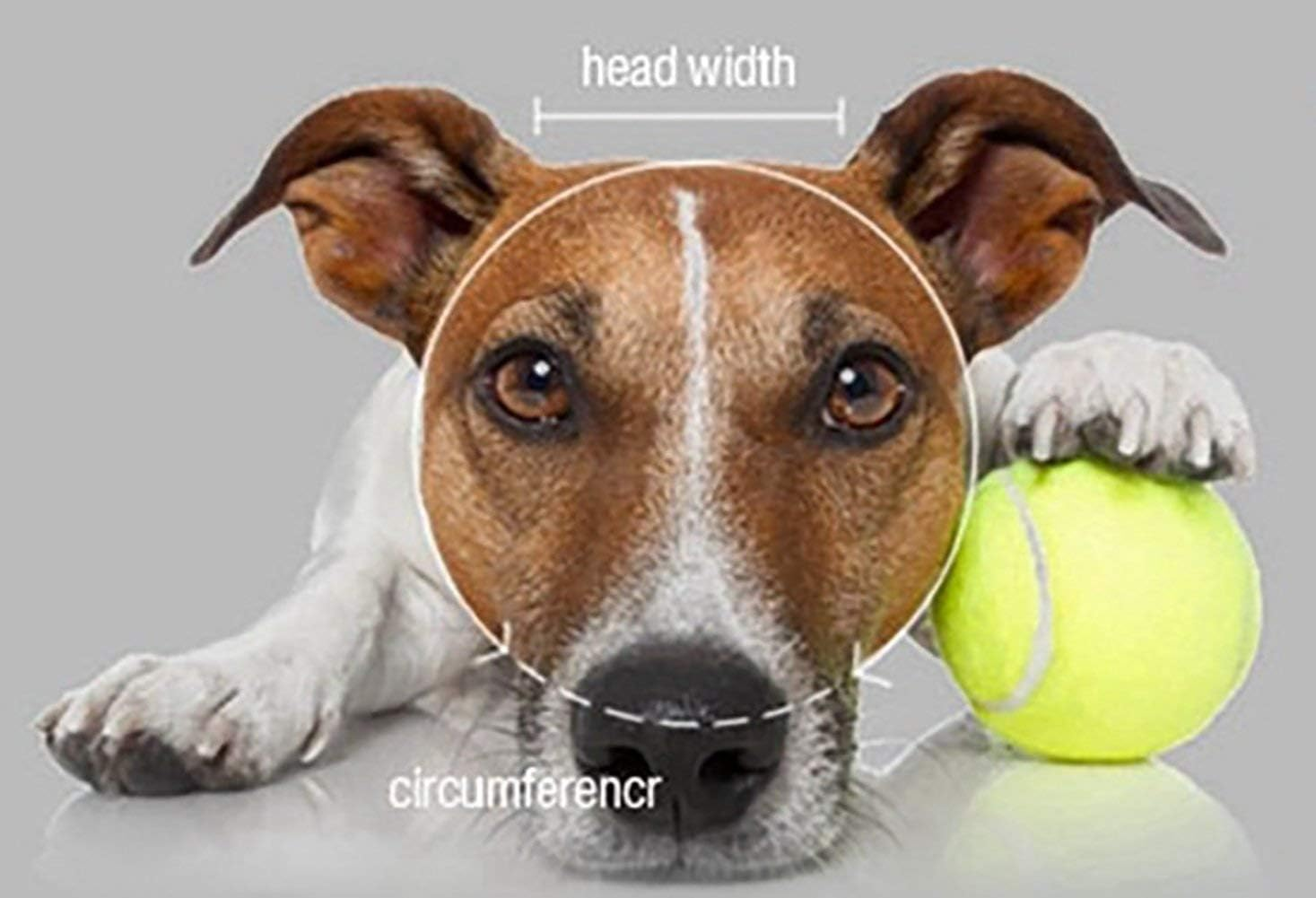 Marupet round Brim Princess Hat Visor Hat Pet Dog Mesh Porous Sun Hat with Ear Holes for Small, Extra Small Dog Teddy, Pug, Chihuahua, Shih Tzu, Yorkshire Terriers, Papillon Stripes L image number 5