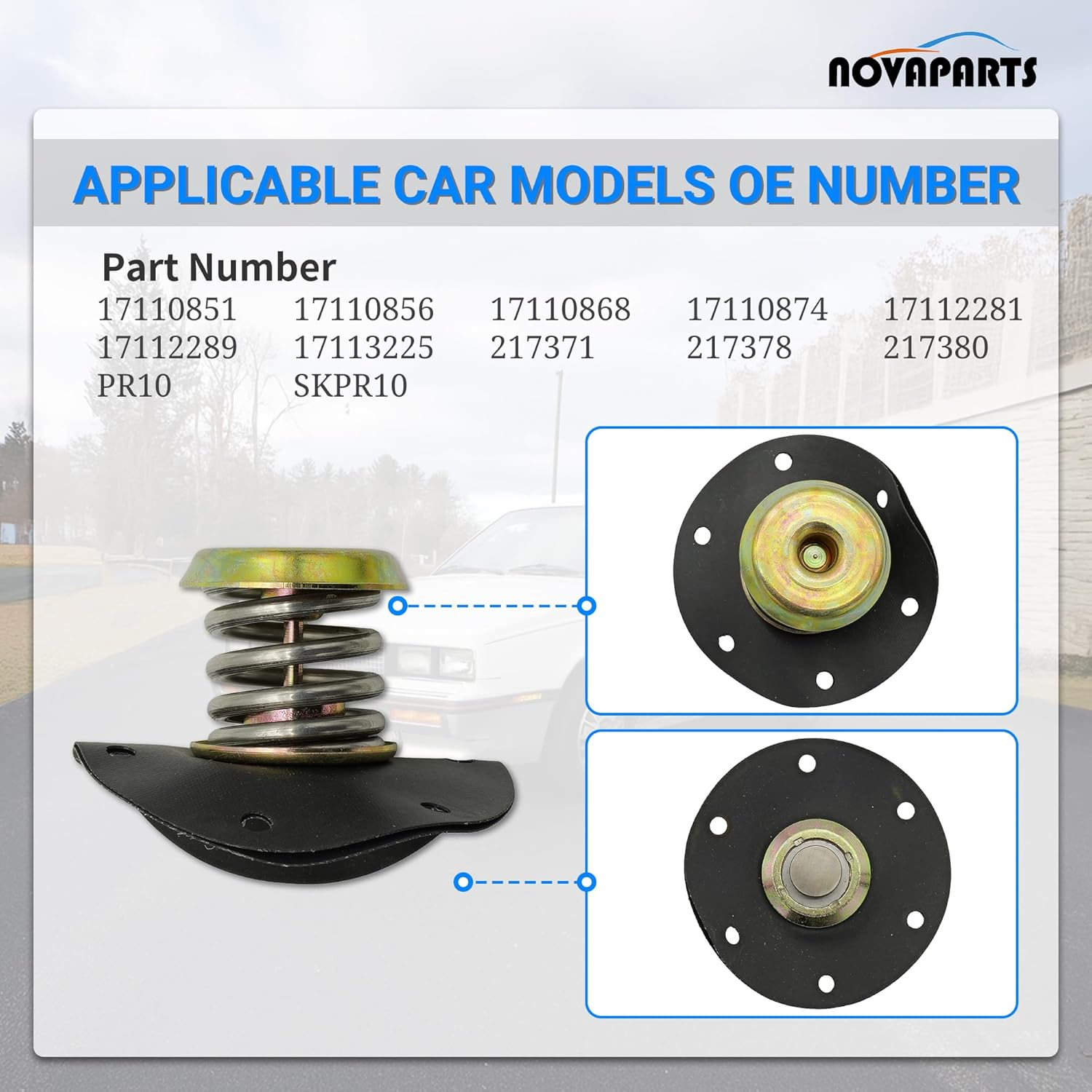 Fuel Pressure Regulator Diaphragm for 1985-1995 Chevrolet Chevy Camaro Pontiac Firebird PR10 17110851 image number 6