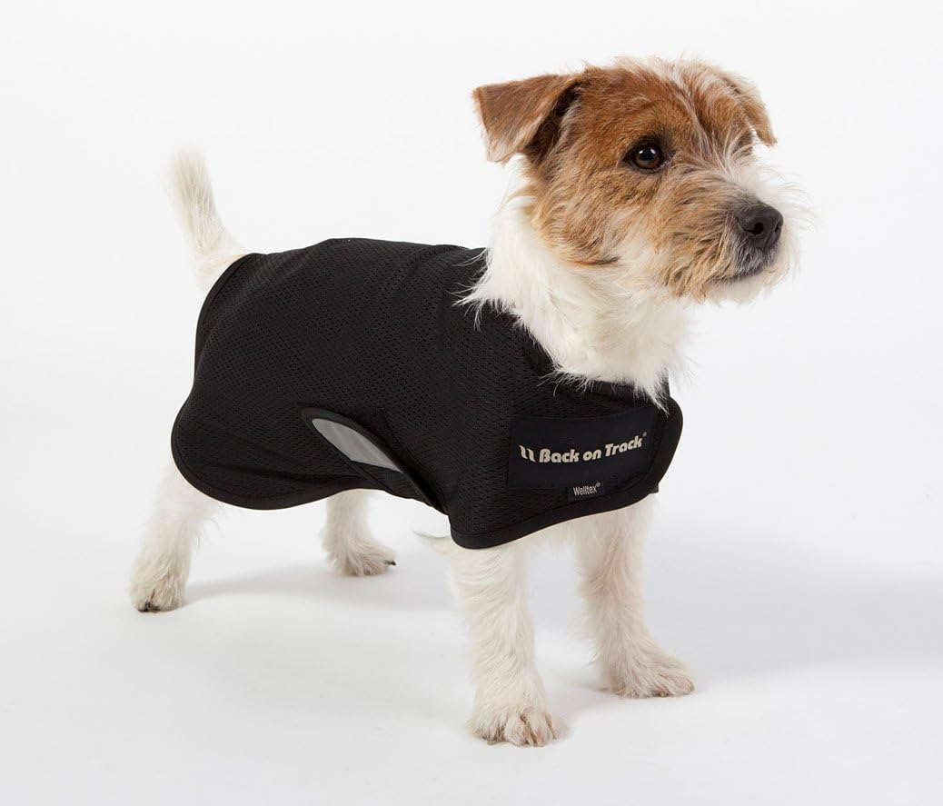 BACK on TRACK Hugo Net Dog Coat Black Size S