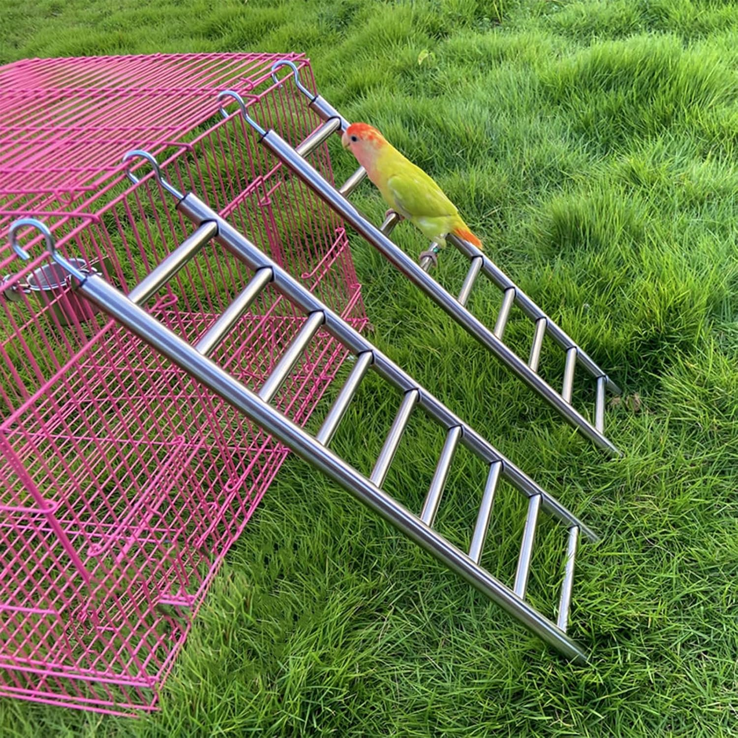 2Pack Stainless Steel Bird Ladders 9-Step Parrot Ladder Hanging Bird Cage Climbing Toys with Hooks Birds Exercise Toy for Parakeets, Parrots, Cockatoo，Rust-Resistant and Easy to Clean image number 1