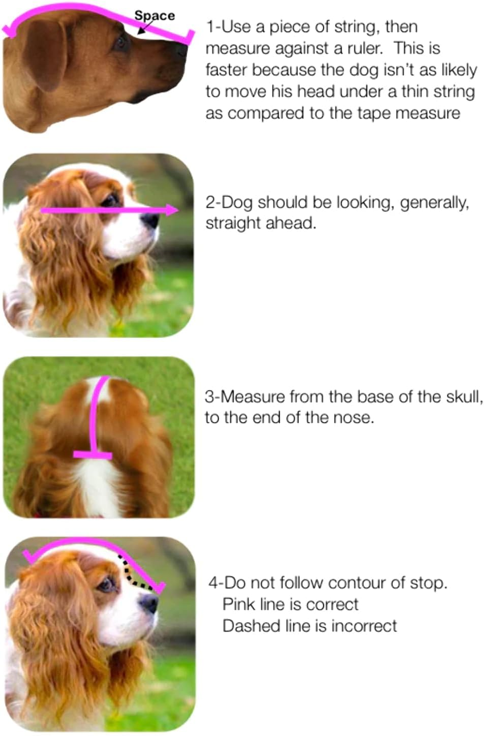 Outfox Field Guard XXS - Not for Dog <9Lb image number 1