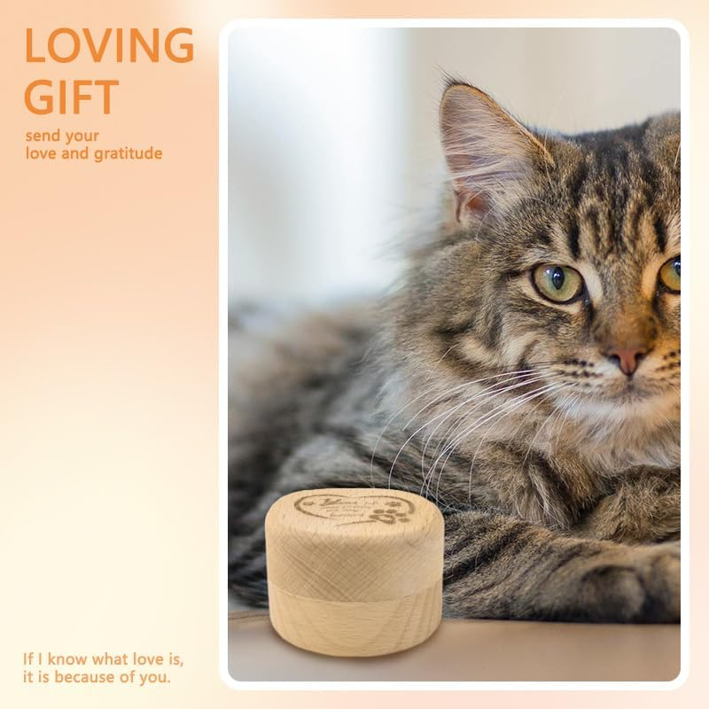 Pet Memorial Wood Keepsake Box Dog Memorial Gifts for Loss of Dog Cat Hair Container with Paw Print Storing Bone Hair for Pet Dogs Cats Sympathy Remembrance Gifts image number 3