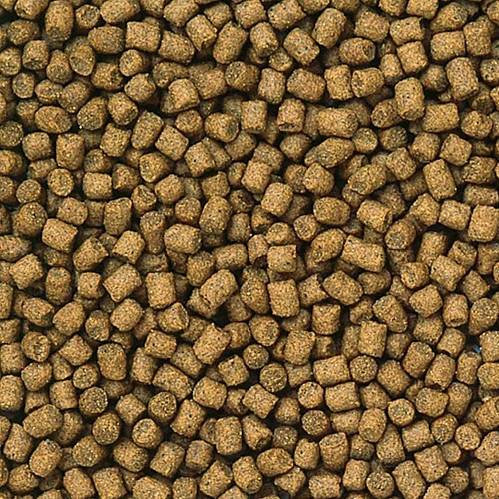 Hikari Lionhead Mini 350G