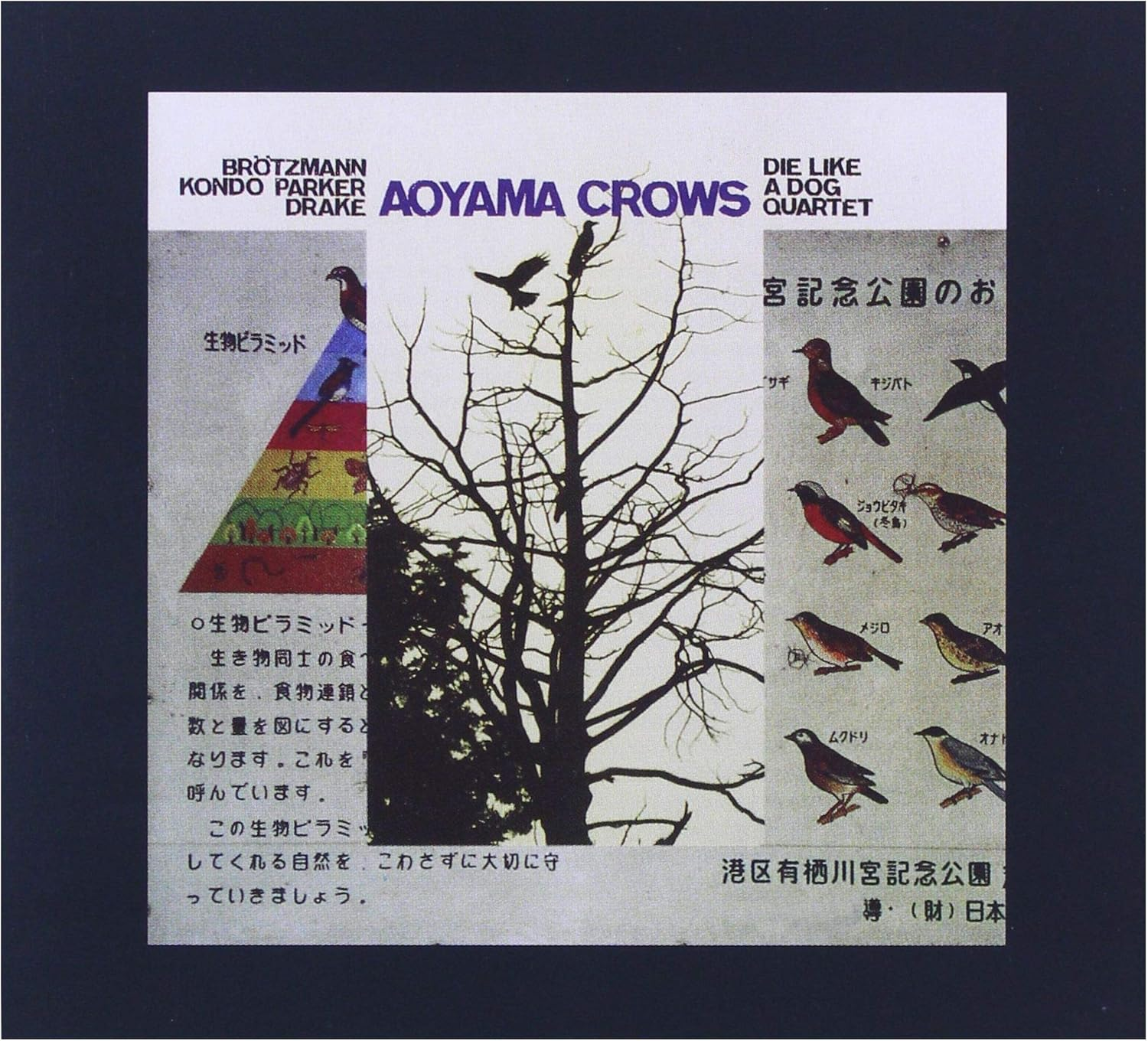 Aoyama Crows
