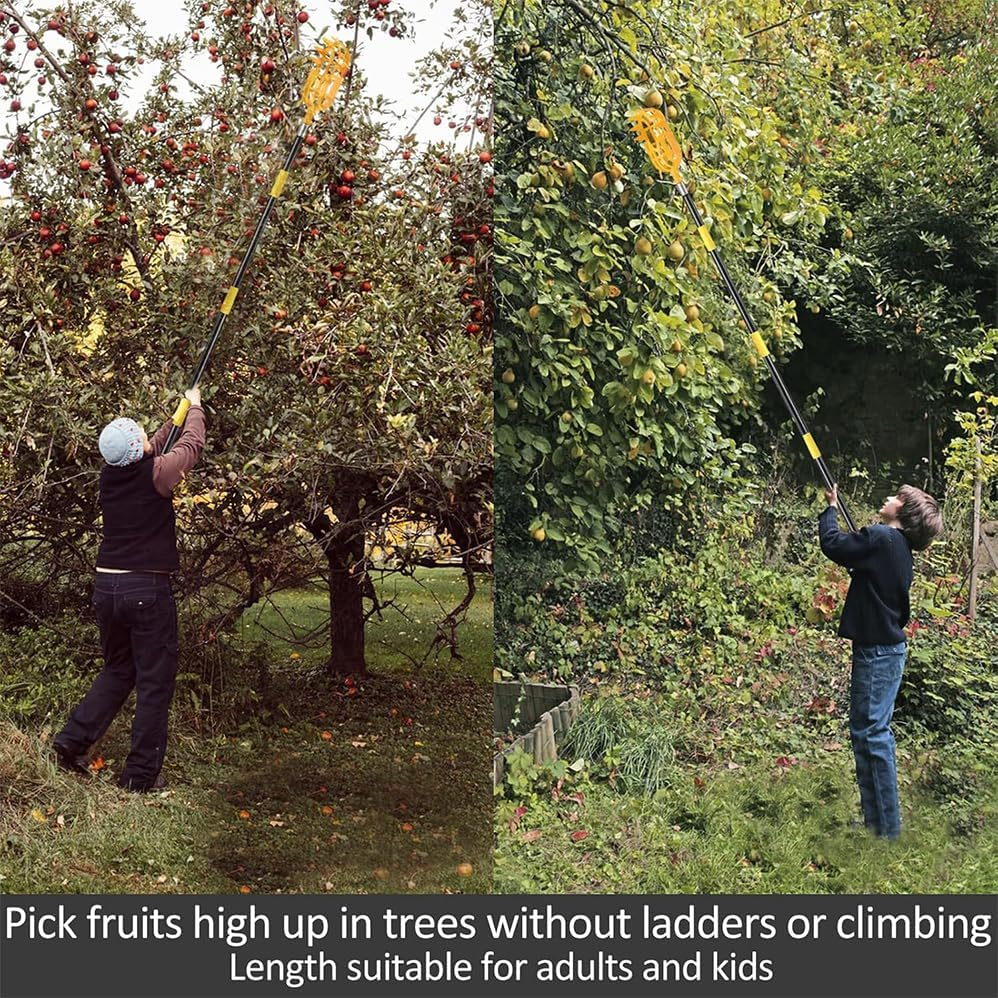 Fruit Picker Tool,Adjustable Extension, Apple Picker Pole with Basket,2M Long Handle, Mango Avocado Pear Pomelo Lemon Picker for Tree,Easy to Assemble & Use,Equipped with a Large Fruit Picker.