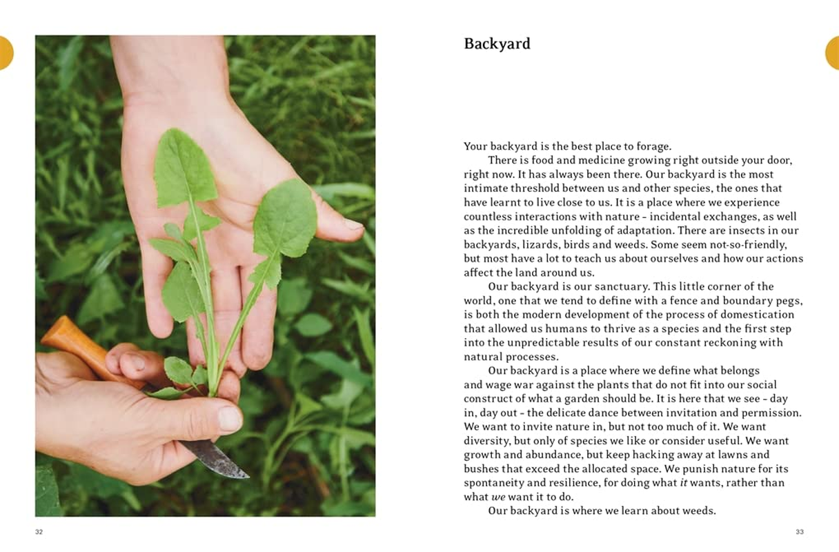 Eat Weeds: a Field Guide to Foraging: How to Identify, Harvest, Eat and Use Wild Plants (Flexibound Edition) image number 1