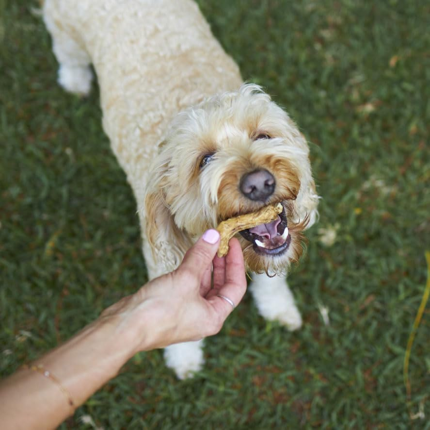 Kazoo Prime Cuts Chicken Necks - 240G