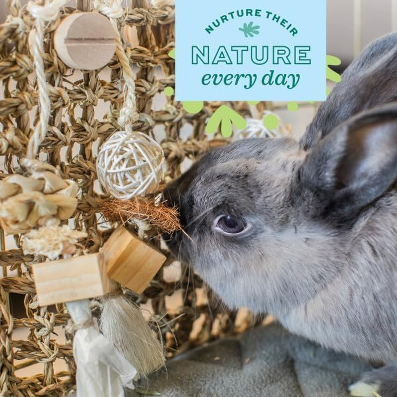 Oxbow Enriched Life Play Wall Small - Rabbit Toys, Guinea Pig Toys, Hamster, Rabbit, Chinchilla, Rat, Chinchilla Cage Accessories, Guinea Pig Accessories for Cage image number 5