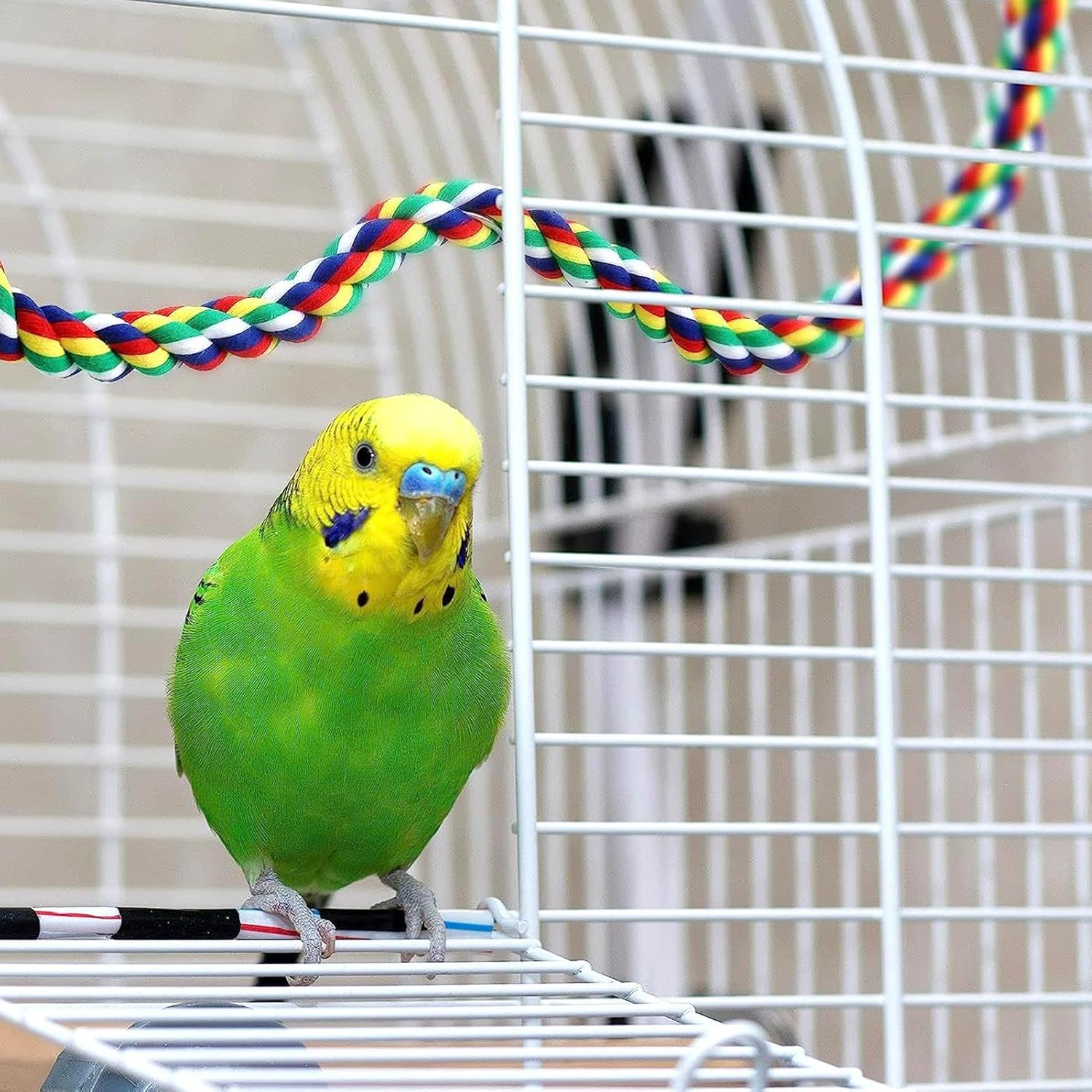 Rope Perch Birds Parrot Rope for Budgies / Parrot Climbing Rope Bird Cage Accessories (50 Cm Metal Nut) image number 2