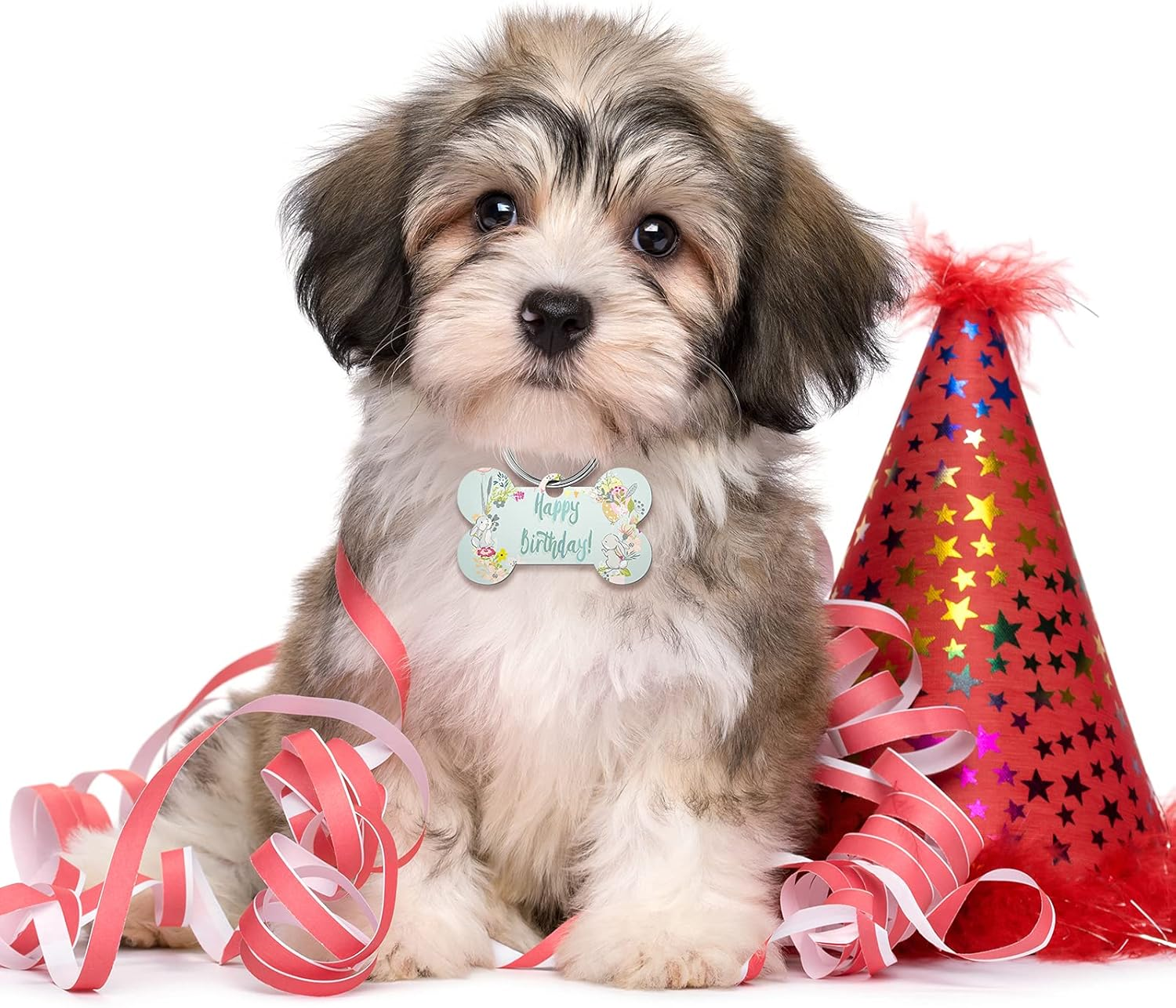 16 Pieces Sublimation Blank Dog Tag Aluminum Dog Tag Bone-Shaped Sublimation Blank Dog Tag Double Sided Dog Tag with Key Ring for Dogs and Cats Pet ID Tag image number 4