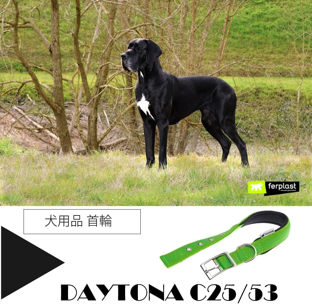 Daytona Daytona C 25/53 Green Dog Collar Neck 45-53Cm
