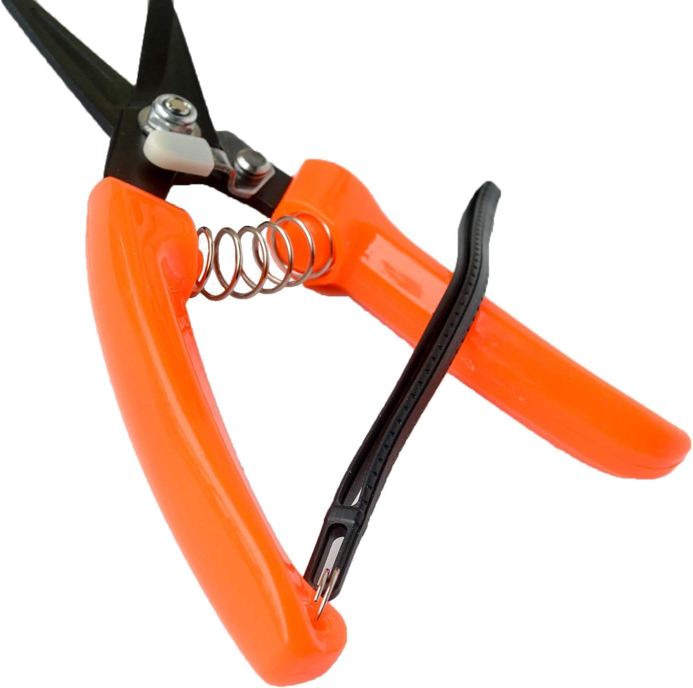 4Cr13 Hoof Trimmers Goat Hoof Trimming Shears Nail Clippers for Sheep, Alpaca, Lamb, Pig Hooves Multiuse Carbon Steel Trimmer image number 2