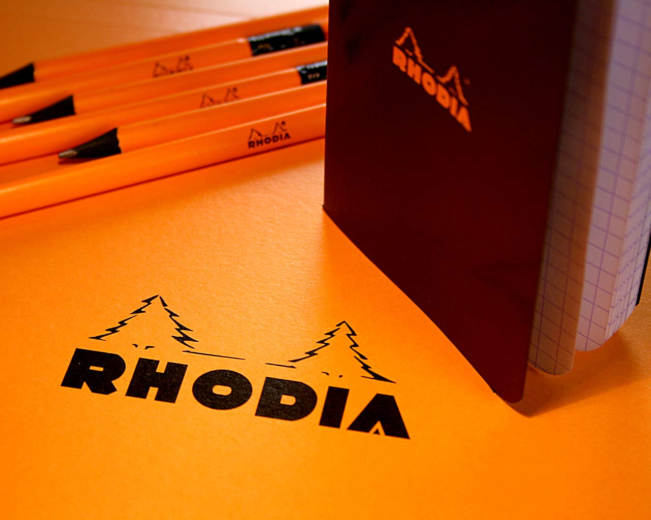Rhodia 192009C - Stapled Notepad N&deg;19 Black - A4+ - Small Squares - 80 Detachable Sheets - 80G Clairefontaine Paper - Soft, Resistant and Waterproof Coated Card Cover - Basics