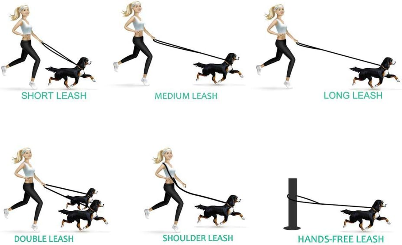 Dog Leash Multifunctional Dog Training Leads 8Ft Double Leash for Puppy image number 4