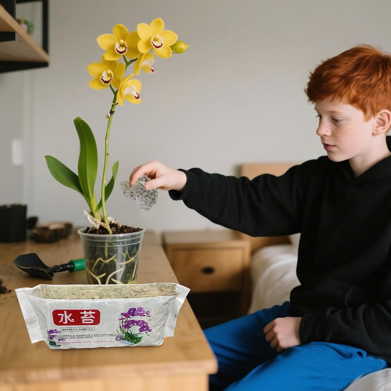 Rronnoy Sphagnum Moss for Orchids - Natural Orchid Moss,Floral Supplies for Houseplant Terrariums Aquarium Floral Crafts Tank Outdoor Pond Gardening Indoor image number 1