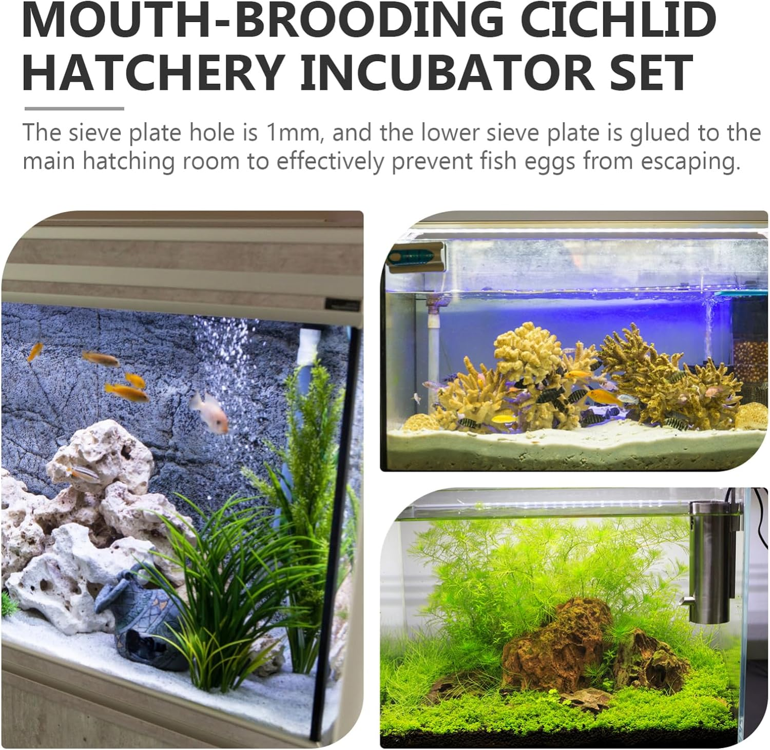 CVUTOVO Cichlid Fish Egg Incubator Tumbler 40Mm Mouth Brooding Fish Breeding Tube Aquarium Accessory Hatchery Breeding Supply Suitable for Freshwater Aquariums Random Style image number 4