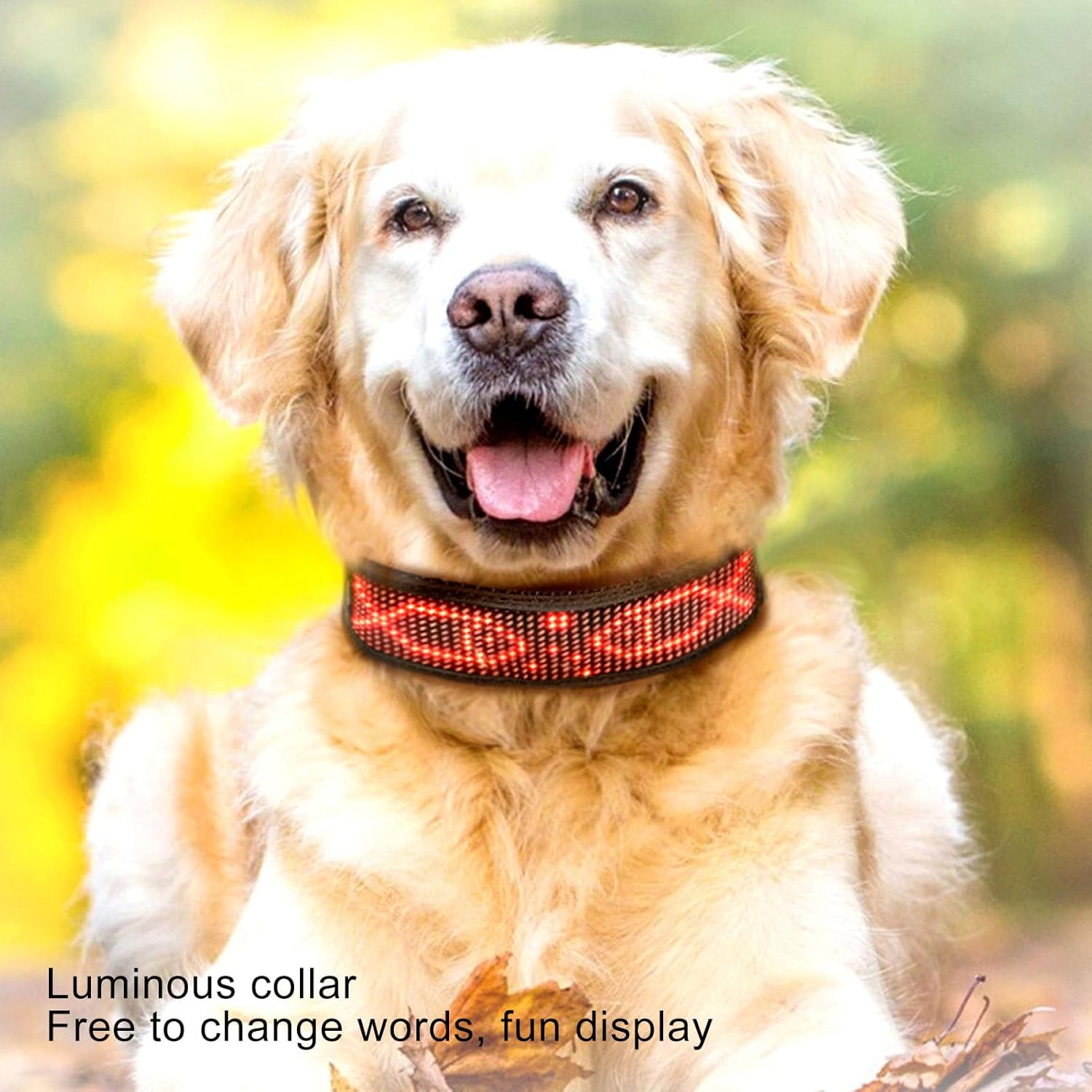 Programmable LED Collar with Connection, Rechargeable, Stylish Design, High Visibility Compatible with for Ios for Android, App Programmable (Red) image number 5