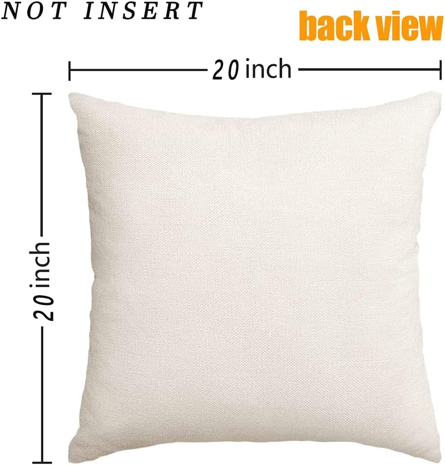 RABUSOFA Spring Summer Pillows Decorative Throw Pillows 20X20,Large Outdoor Bird Pillow Covers,Single Watercolor Hand-Painted Oil Painting Rustic Birds Square Pillow Cases for Couch Sofa image number 4