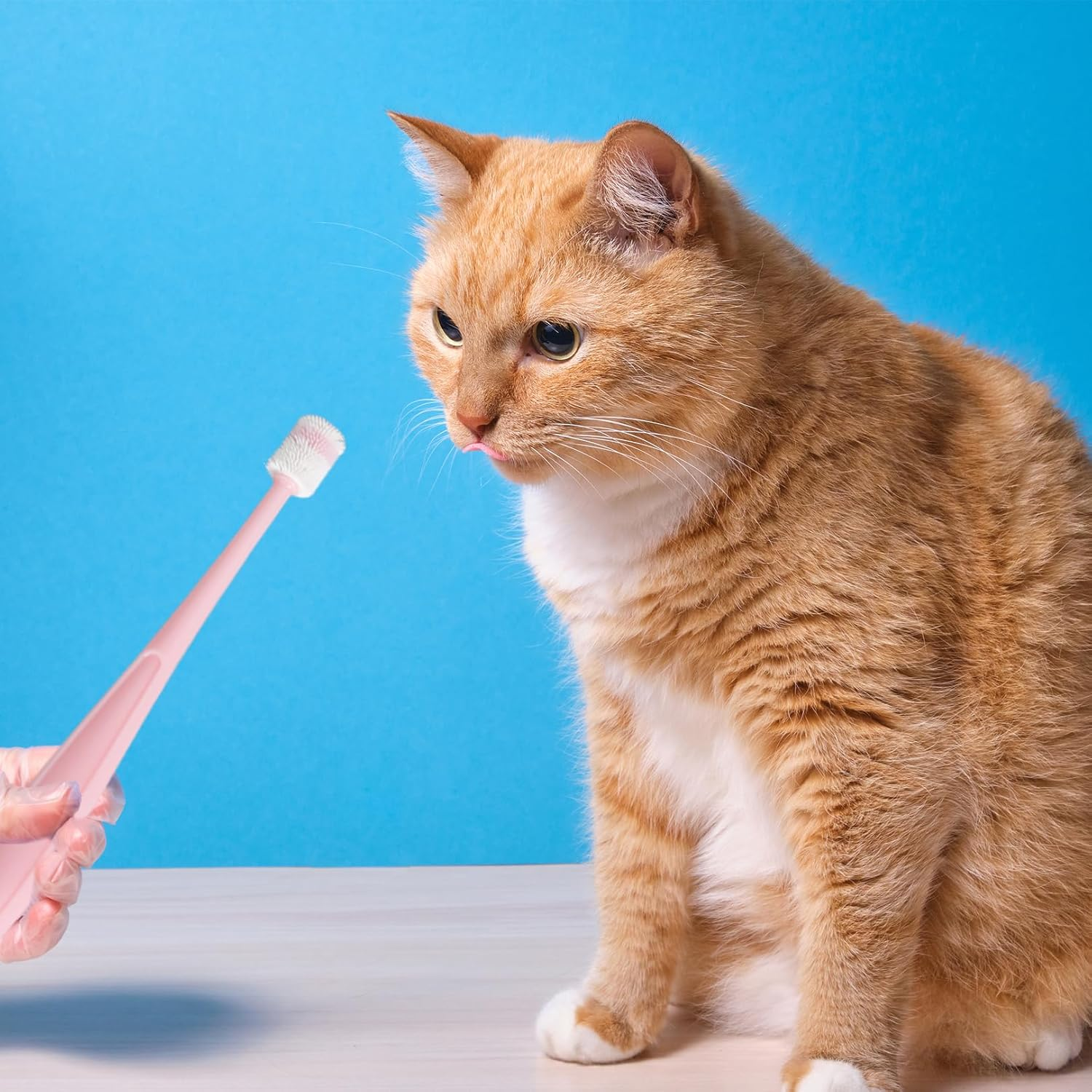 Pack of 3 Dog Toothbrushes, 360 Degree Cat Toothbrush, Soft, Long Handle Cat Toothbrush for Cats, Reusable Dog Toothbrush for Small Dogs, Pets Silicone Toothbrush, for Dogs, Cats Dental Care