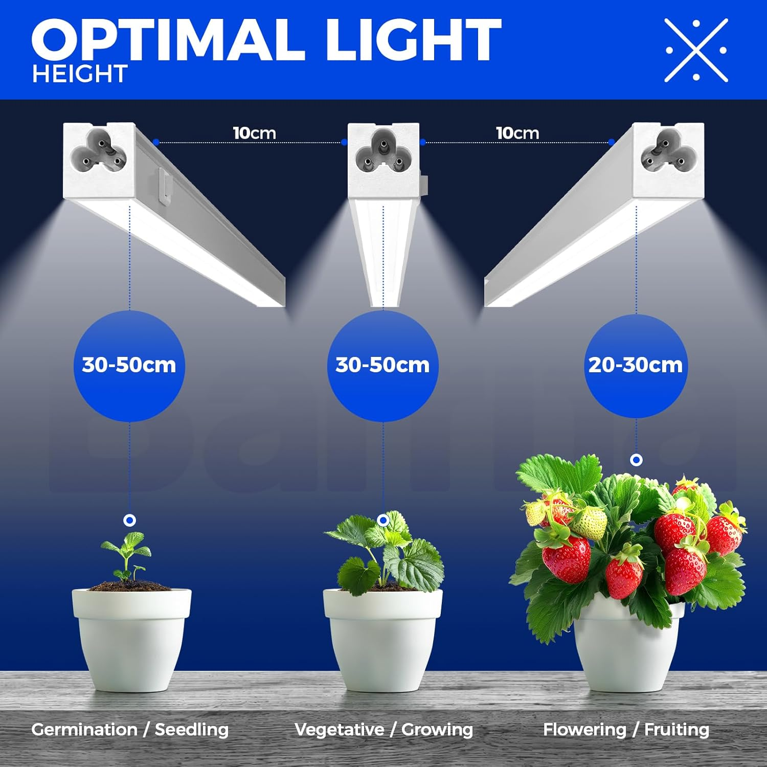 Barrina Grow Light for Indoor Plants, 5000K White Full Spectrum T5 Grow Light Strip, 1FT Plant Grow Light with On/Off Switch, Plug and Play, High PPFD for Indoor Plants, 6 Packs image number 2