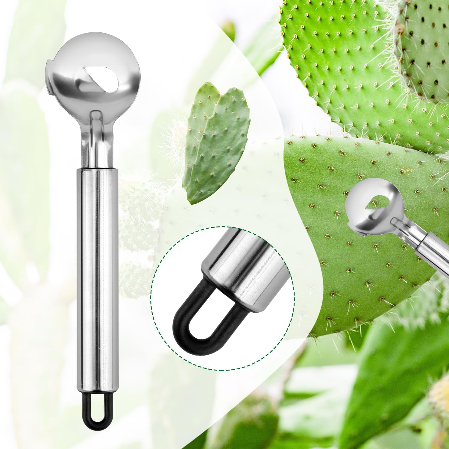 2Pcs Spoon Cactus Peeler, Stainless Steel Cuchara Pelador De Nopales Multi-Function Pelador De Nopales Cactus Peeler Tool Chinese Noodle Cutter for Kitchen Gadgets Accessory image number 1
