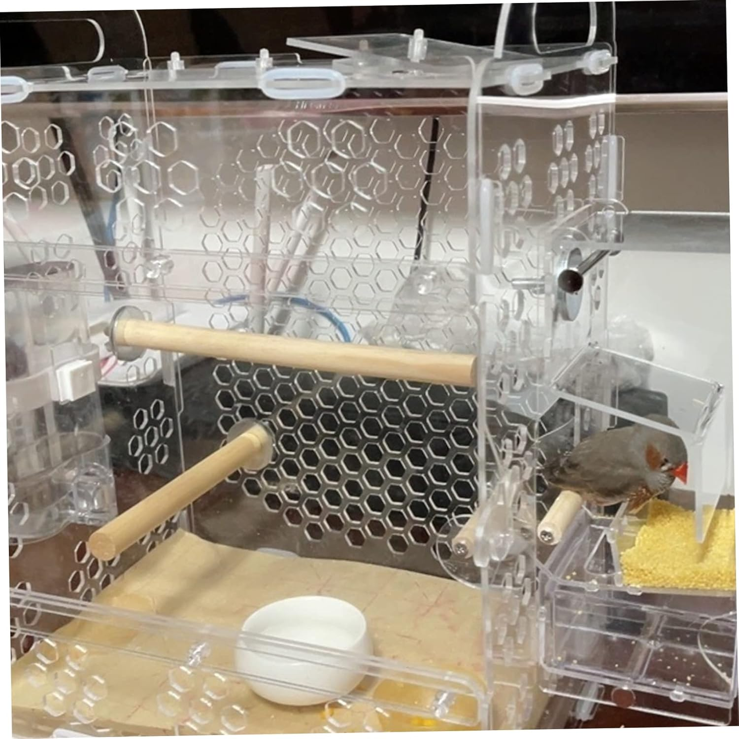 Minkissy Acrylic Parrot Cage Spacious Interior Sturdy Tear-Resistant Small Bird Nest House Good Airflow Simple PET Bird Supply image number 3