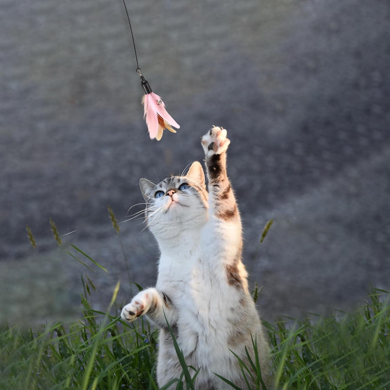 CAPASTEC Pack of 2 Feather Cat Wand Replacement for Pet Interactive, Pink/Brown image number 6