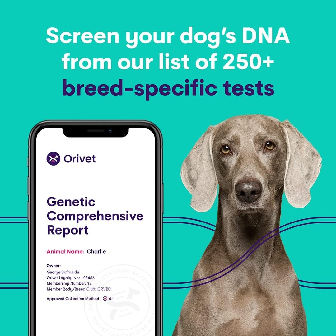Full Breed Profile     - Genetic Health Screening, 250+ Trait & Disease Tests, DNA Profile, Breeder Wellness Plan, Cheek Swab image number 3