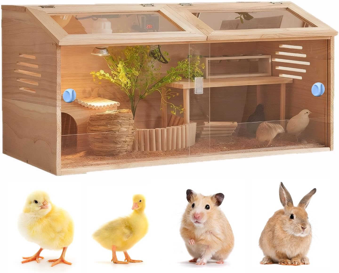 Chicken Brooder Box Kit,Wooden Brooder Box with 2 Openable Doors, Acrylic Panels, and Top Opening-Ideal for Chicks, Ducks, Quail,Hamsters and Small Animal (80Cm&times;40Cm&times;40Cm)