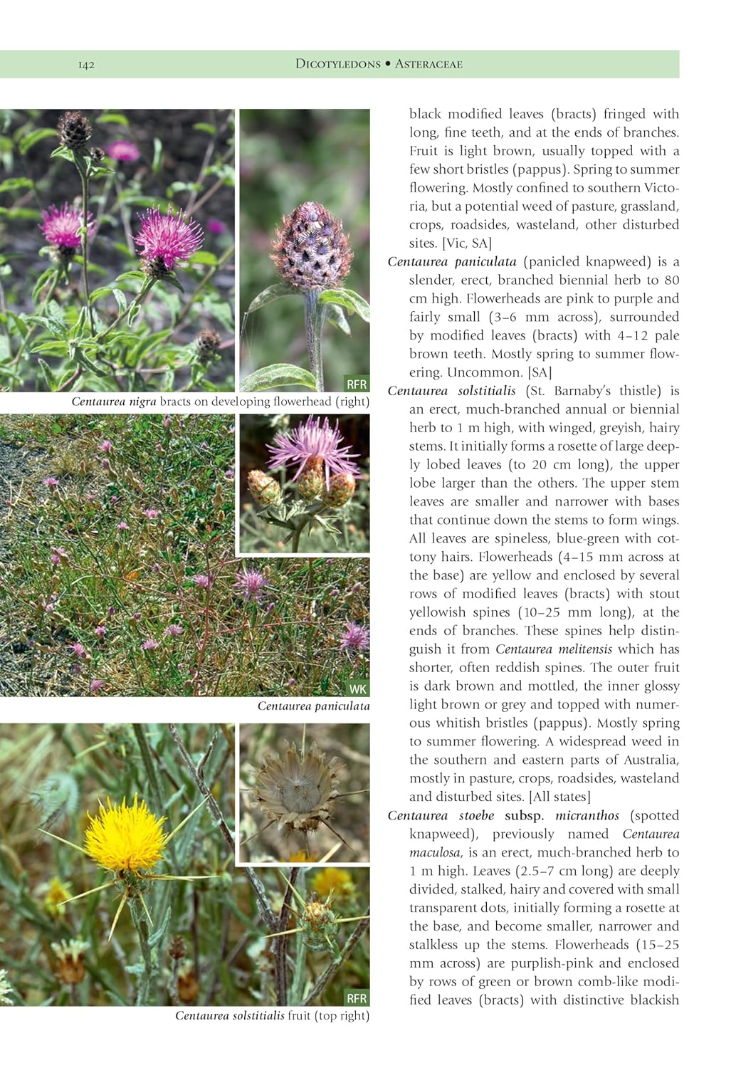 Weeds of the South-East: an Identification Guide for Australia image number 4
