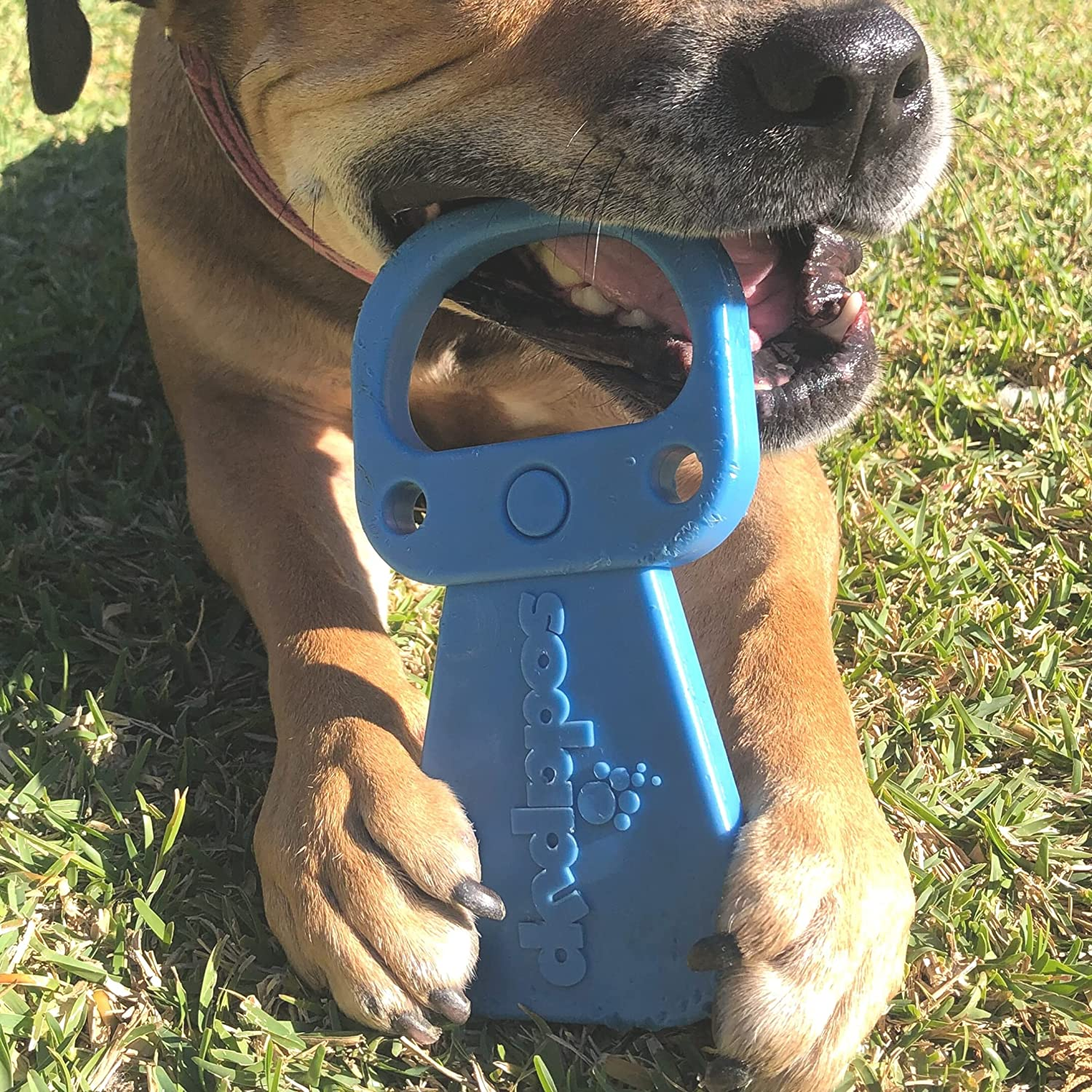 Sodapup Nylon Pop Top Pull Tab Power Chewer Toy- Blue. Ultra Durable Dog Chew Toy for Aggressive Chewers. Power Chew Toys for Those Dogs That Typically Wreck Everything in Minutes!