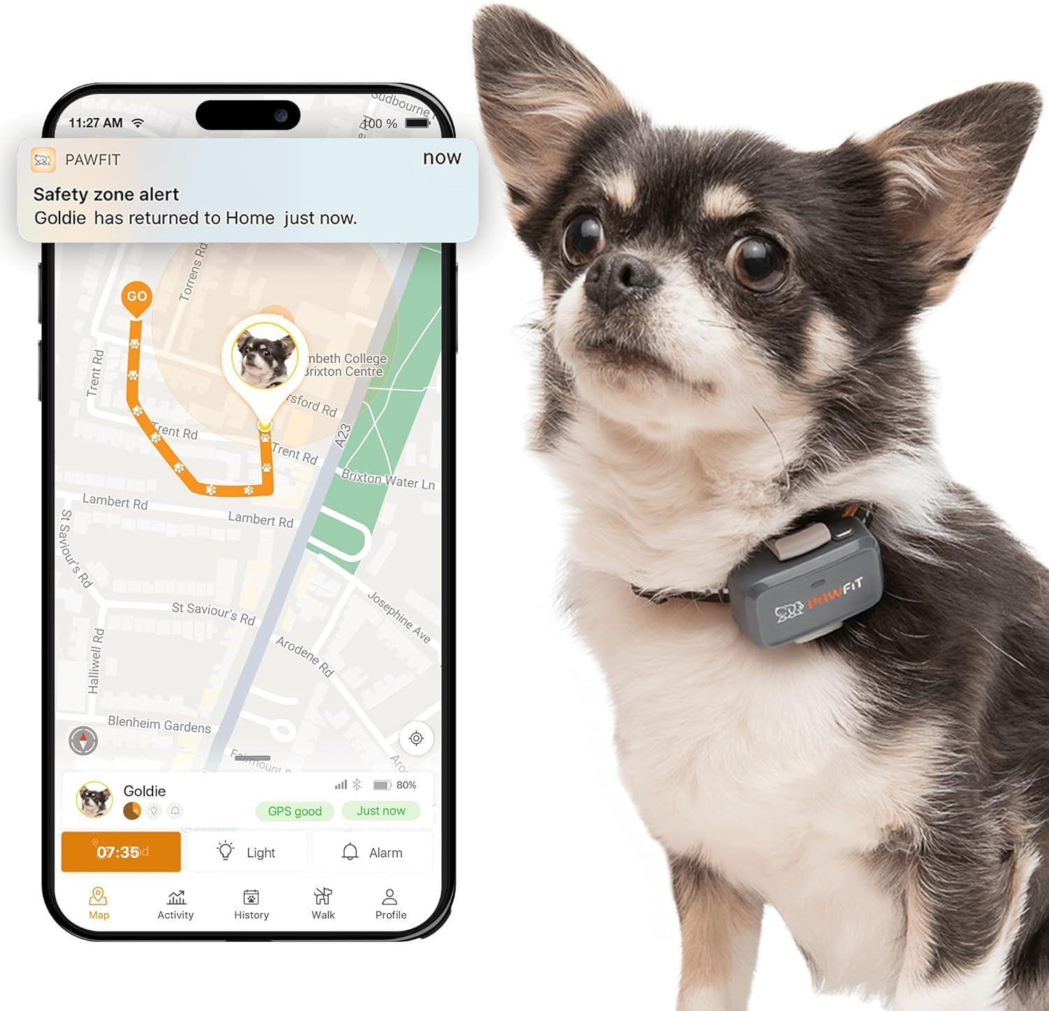 Pawfit Lite for Small Dogs 4G GPS Tracker | Real Time Tracking | Activity Monitoring |Location History | Unlimited Range | Charcoal Grey