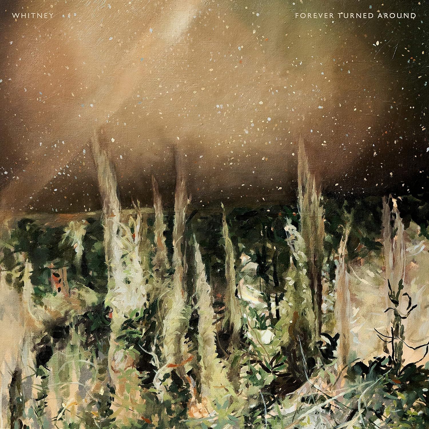 Forever Turned around (Vinyl)