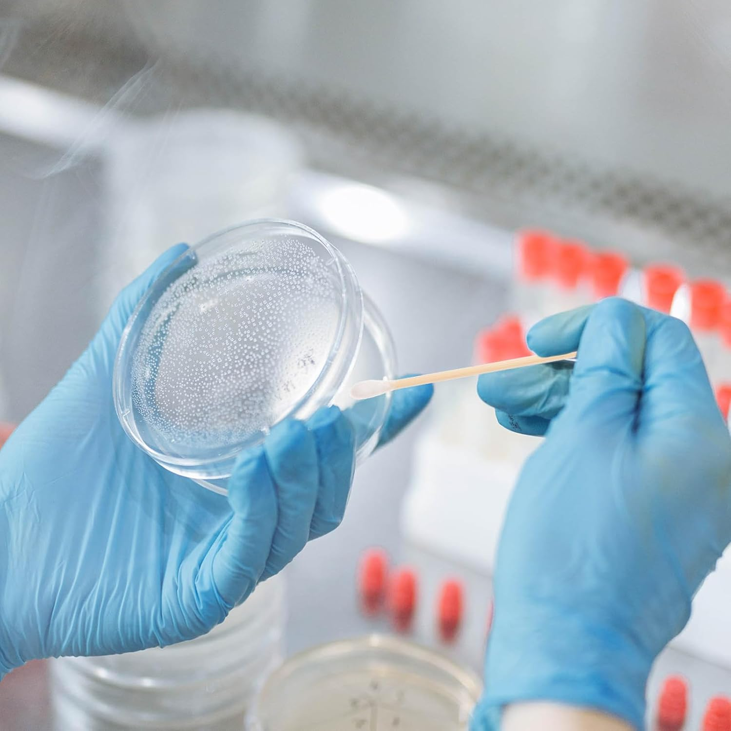 Healvian 500Pcs Wooden Cotton Sticks Makeup Ear Cleaning Buds Soft Cotton Swab Reusable Safety Buds Travel Pack for Home Travel image number 5