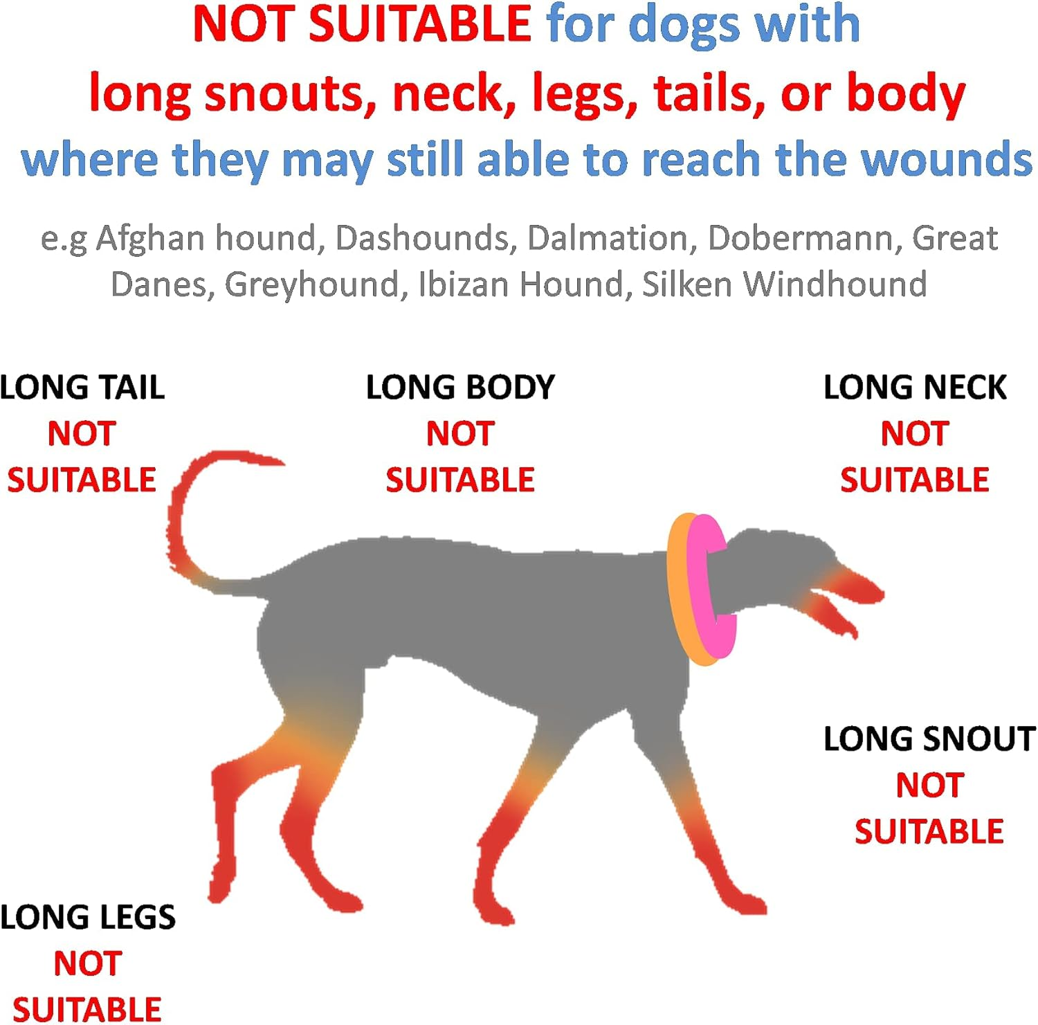 Dog Neck Donut Collar - Inflatable Dog Donut Collar for after Surgery - Elizabethan Collar for Dogs, Dog Inflatable Recovery Collar, Dog Doughnut Collar (Medium) image number 1