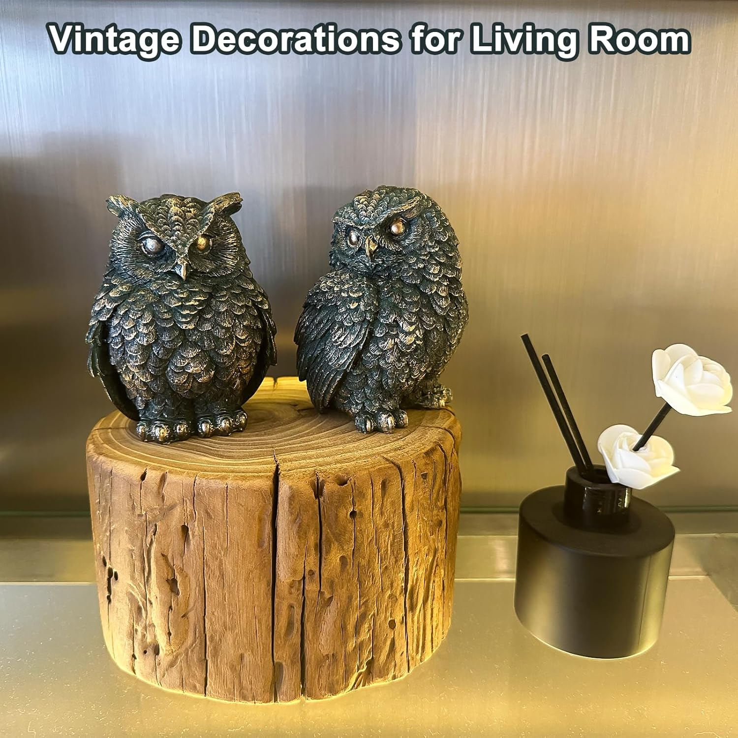 2 Pack Unique Owl Statues for Home and Outdoor Garden Decoration, Living Room Vintage Resin Owl Figurines, Knick Knacks for Shelves, Women Gift image number 4